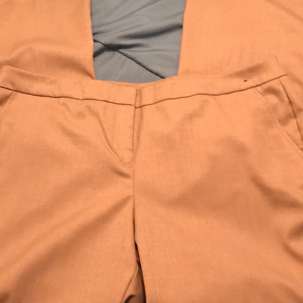 Beautiful tan wide leg pants